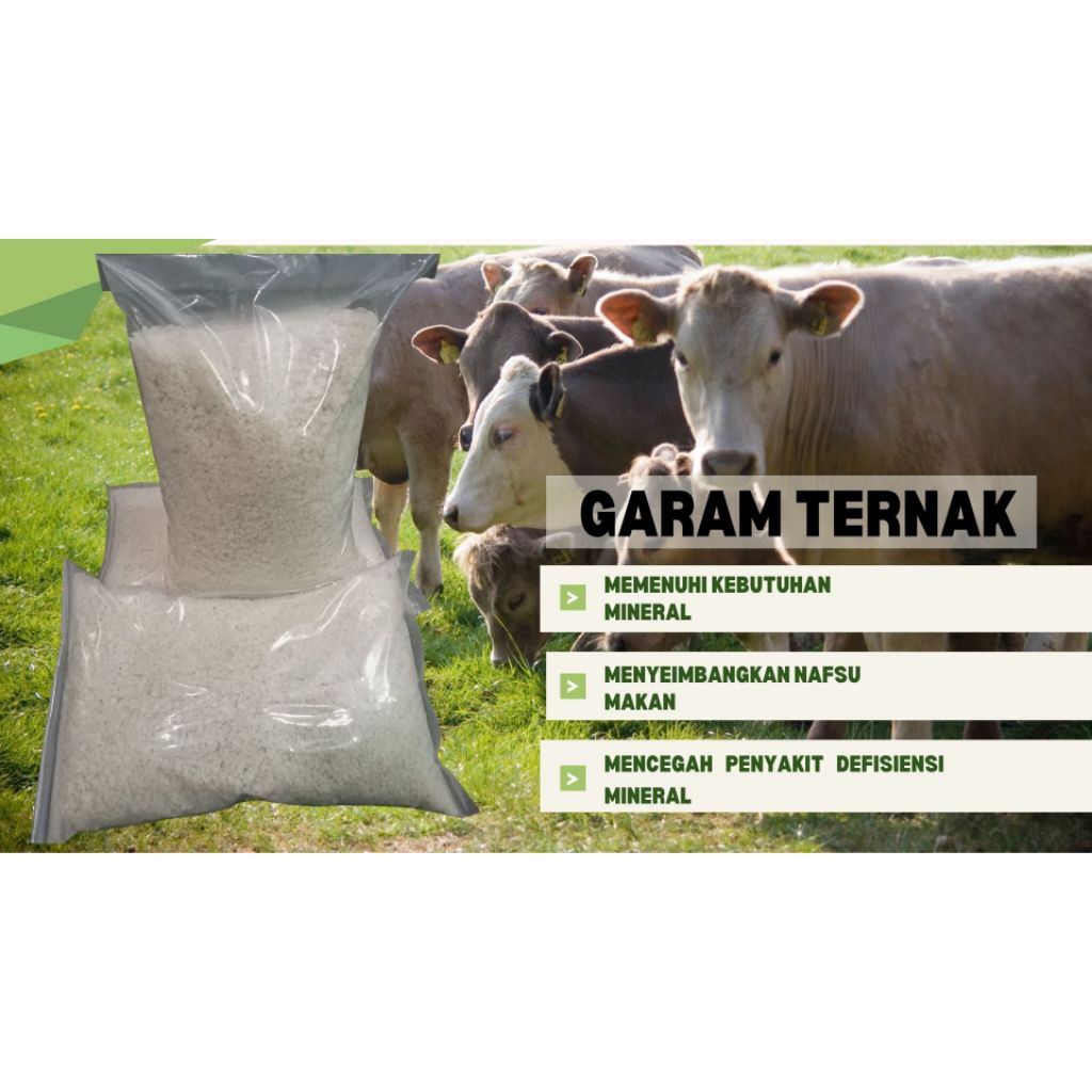 GARAM TERNAK MADURA Super, Kemasan 2 KG Untuk comboran Sapi/ Kambing bisa juga untuk ikan