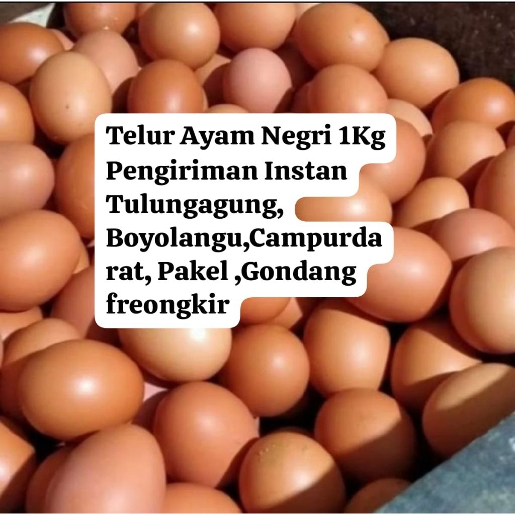 TELUR AYAM NEGERI HORN 1KG CANGKANG COKLAT - TELUR PUYUH (INSTAN KIRIM)