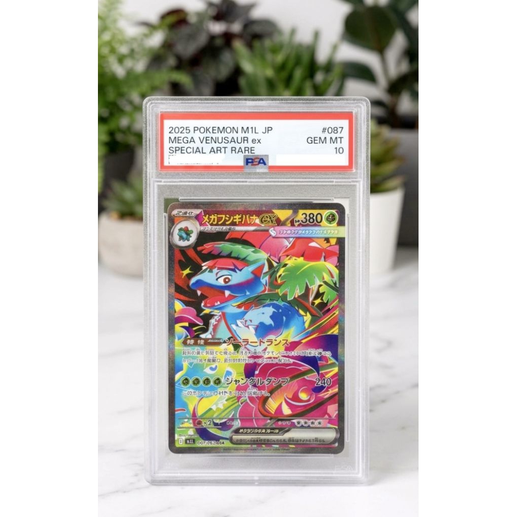 Kartu PSA 10 JAPAN Mega VENUSAUR EX 087 SAR