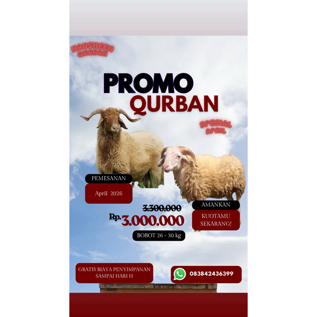 domba hidup Qurban
