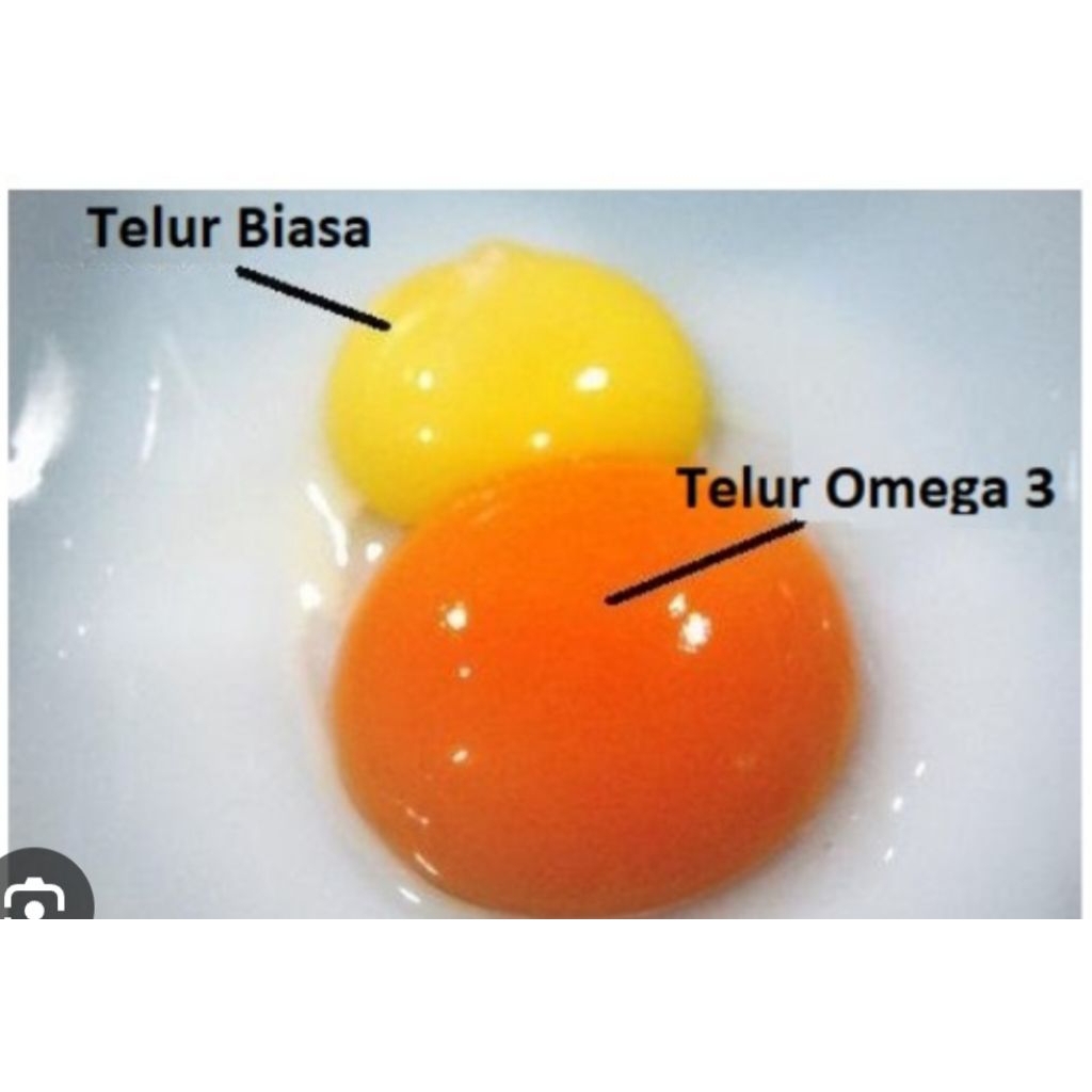 telor omega 3 kemasan 1kg