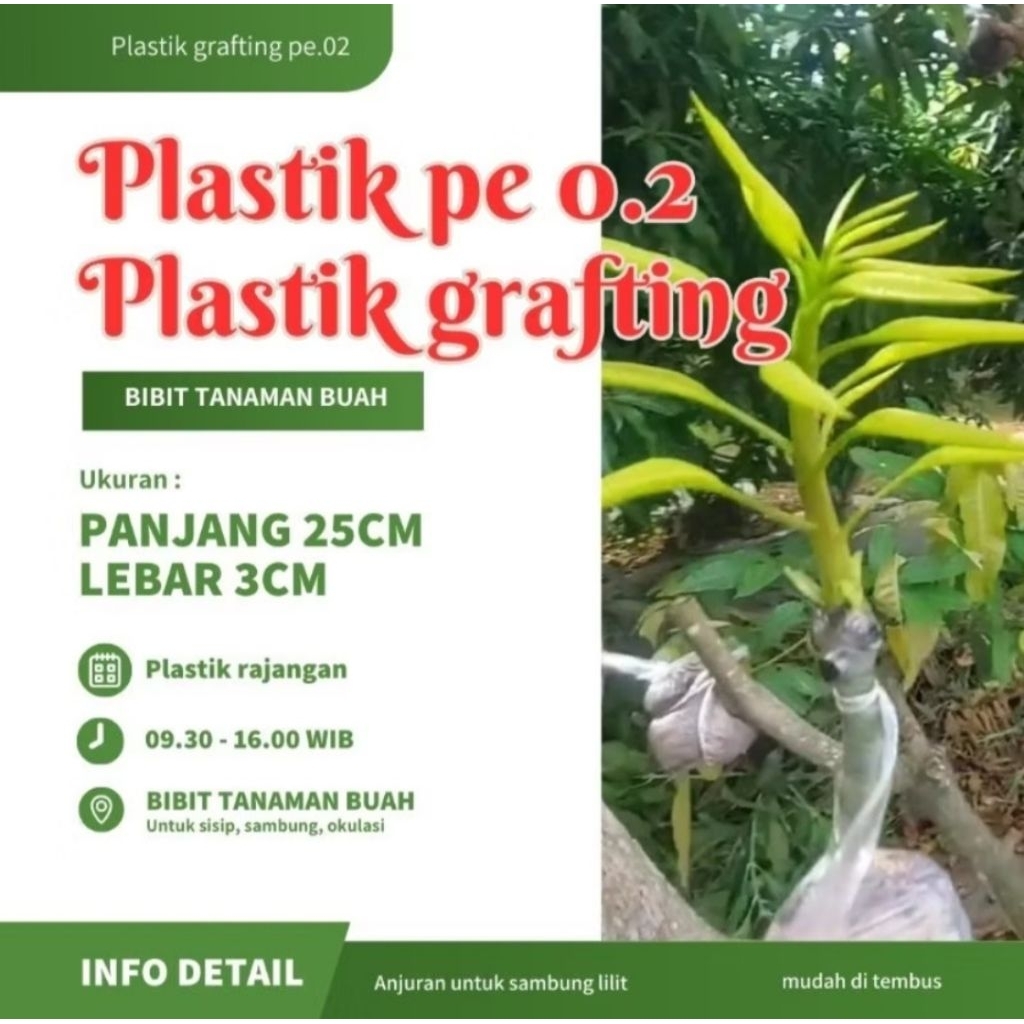 Plastik okulasi, sambung, sisi, pe. 02