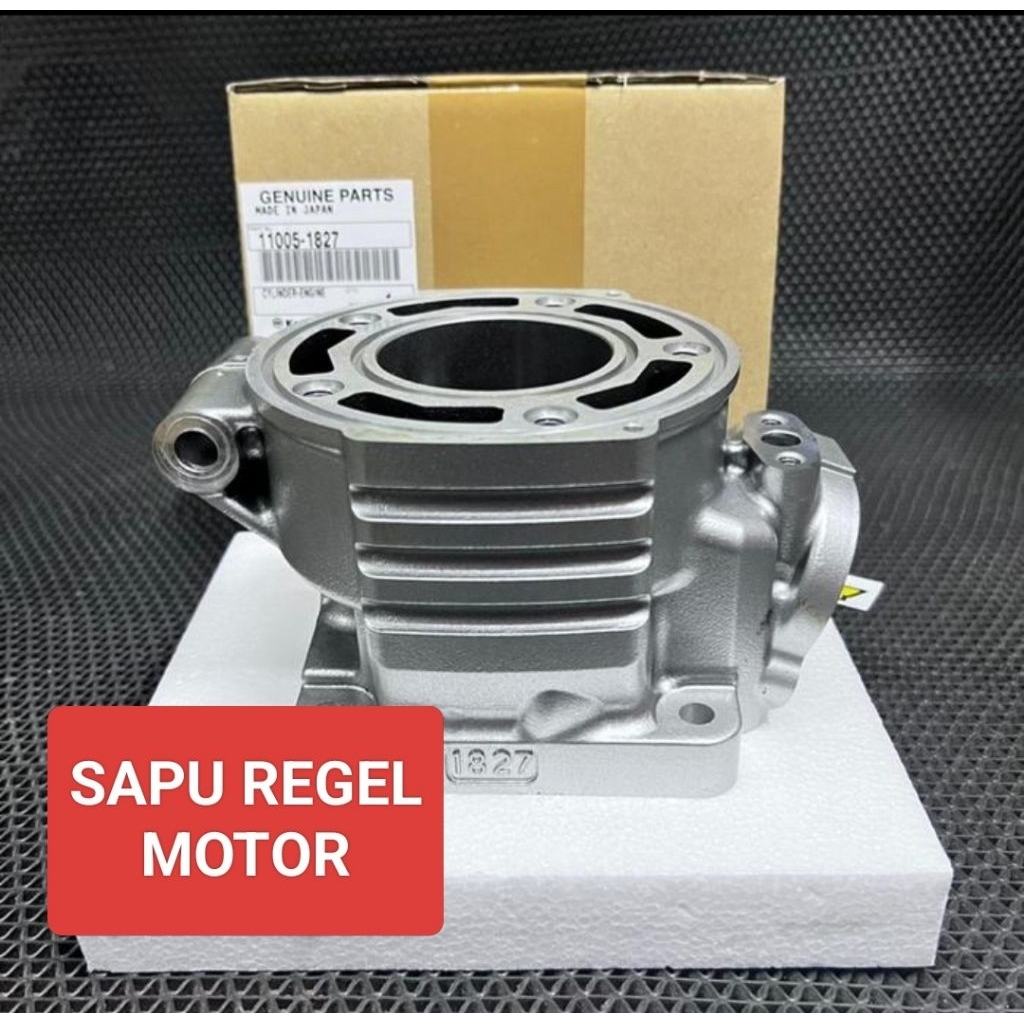 BLOK SEHER CYLINDER ENGINE 1827 NINJA R KIS 11005-1827 ORIGINAL KAWASAKI