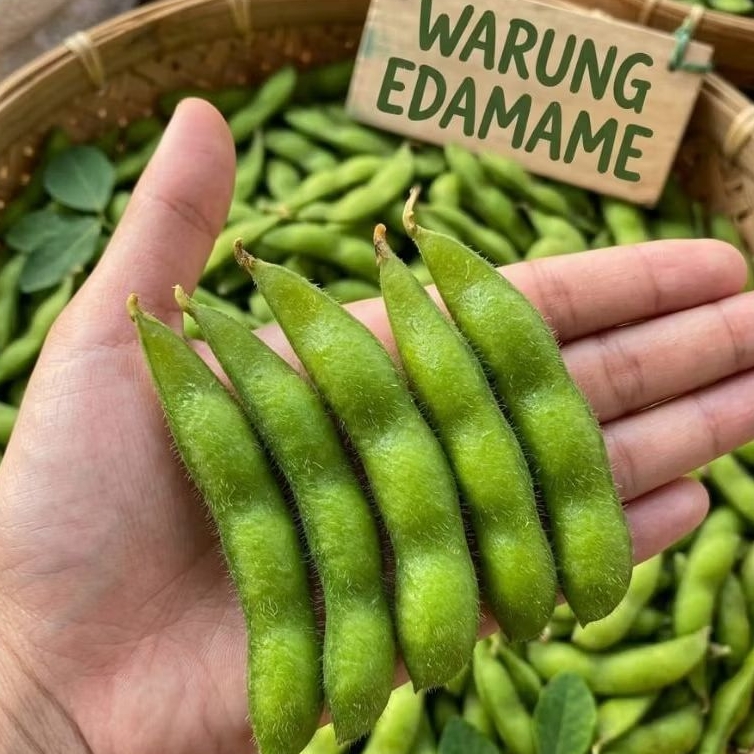 edamame 1kg segar
