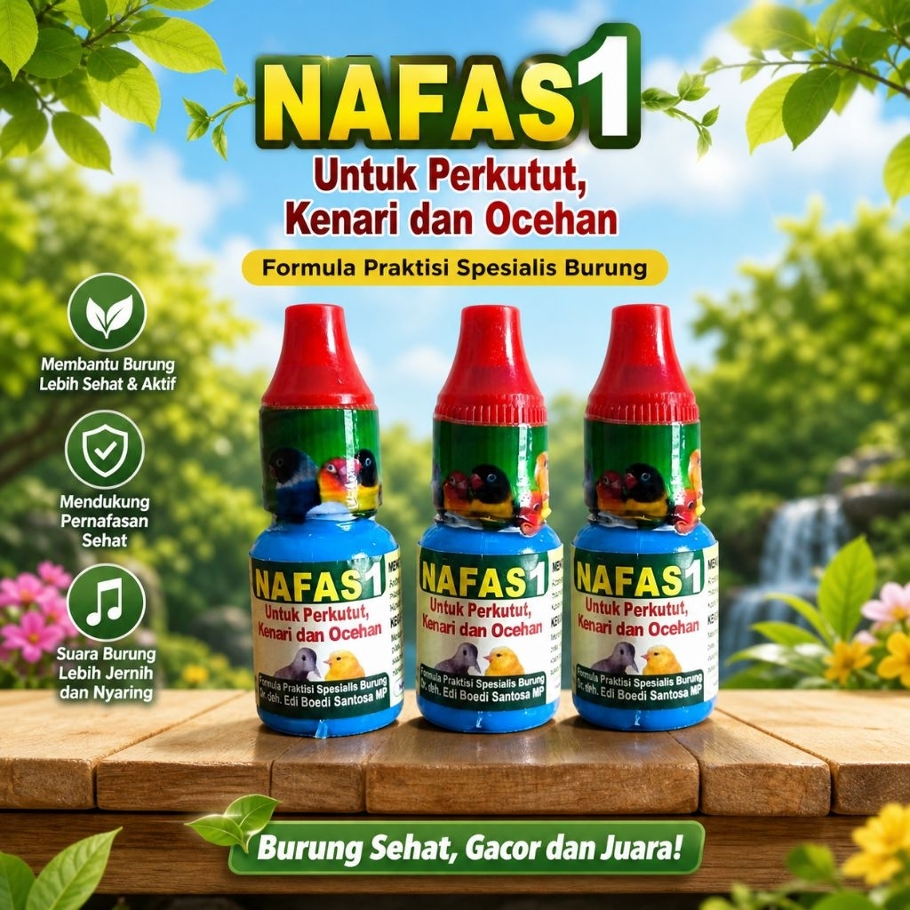 NAFAS 1 DRH EDI OBAT BURUNG SANG JUARA