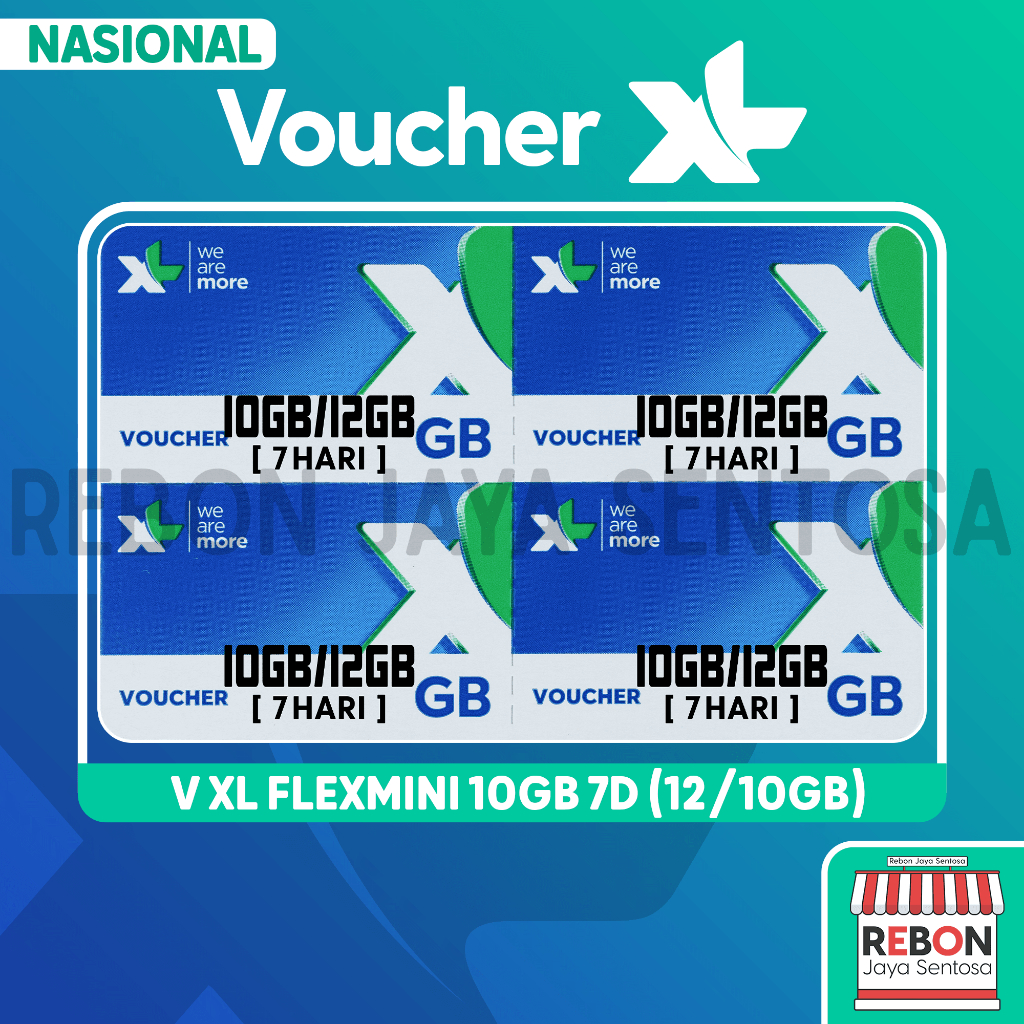 V XL Flex Mini 10Gb 7D (12/14Gb)