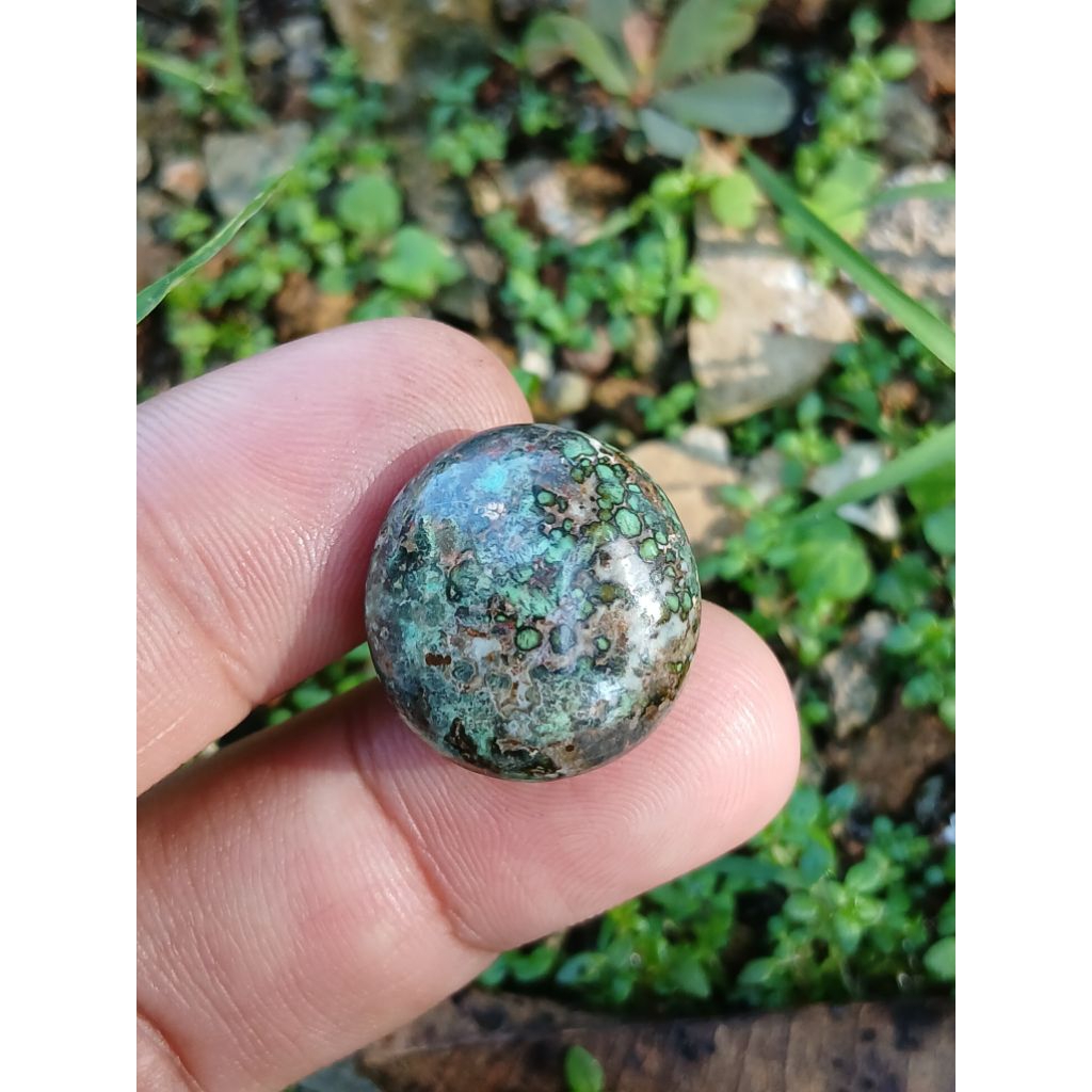pirus persia sisik ular