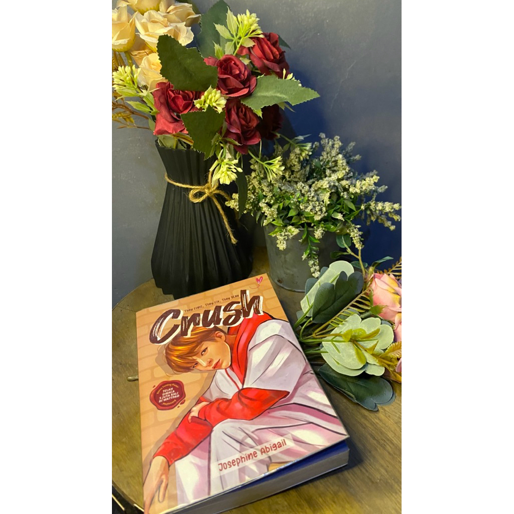 PRELOVED NOVEL CRUSH
