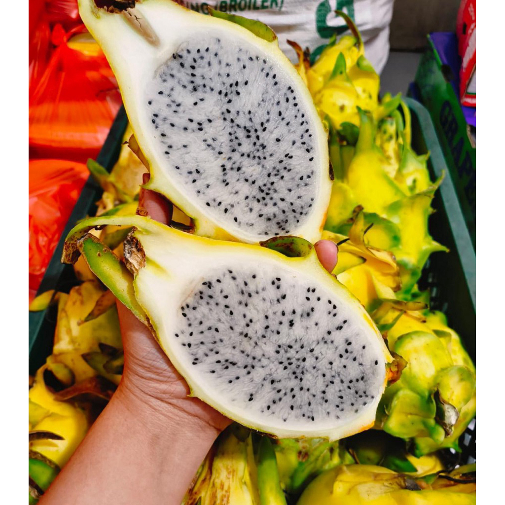 Buah Naga Kuning 1 kg ready stock