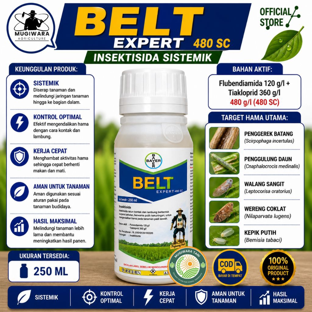 Insektisida Belt Expert 100ml Flubendiamide Ampuh Basmi Ulat & Hama Daun – Obat Hama Cabai Jagung Pa