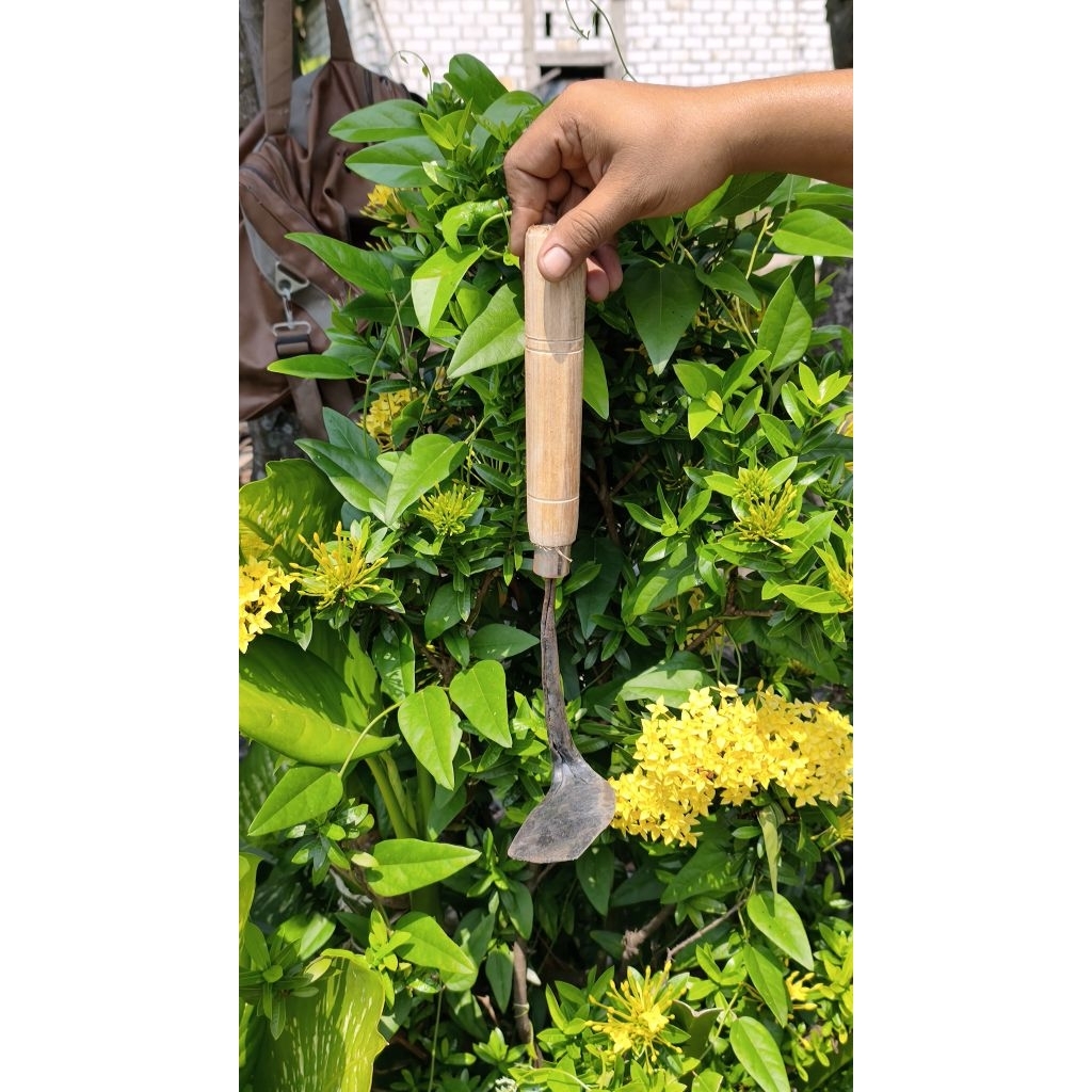 Alat pembersih rumput / Wangkil