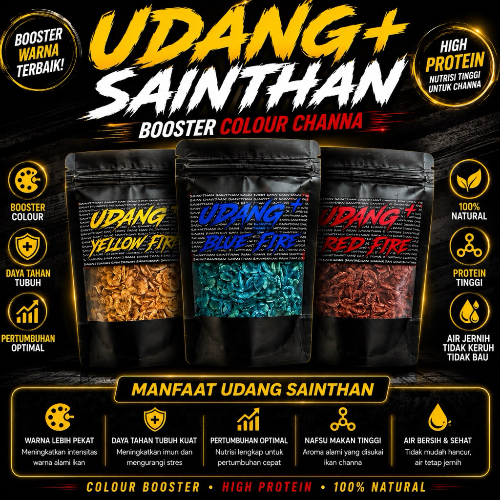 Udang+ SaintHan (udang kering) Untuk Channa yellow sentarum, channa auranti, channa limbata,channa a
