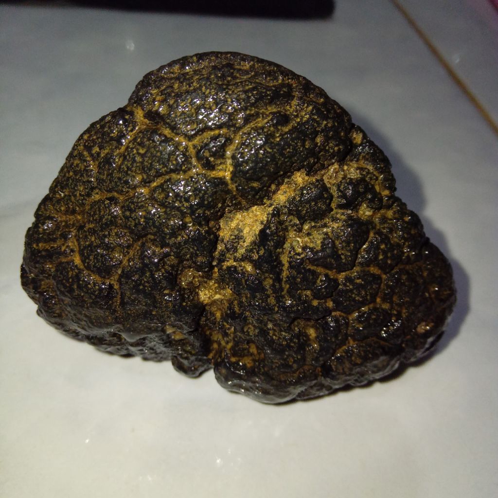 Original Batu Satam Jumbo Bentuk Unik