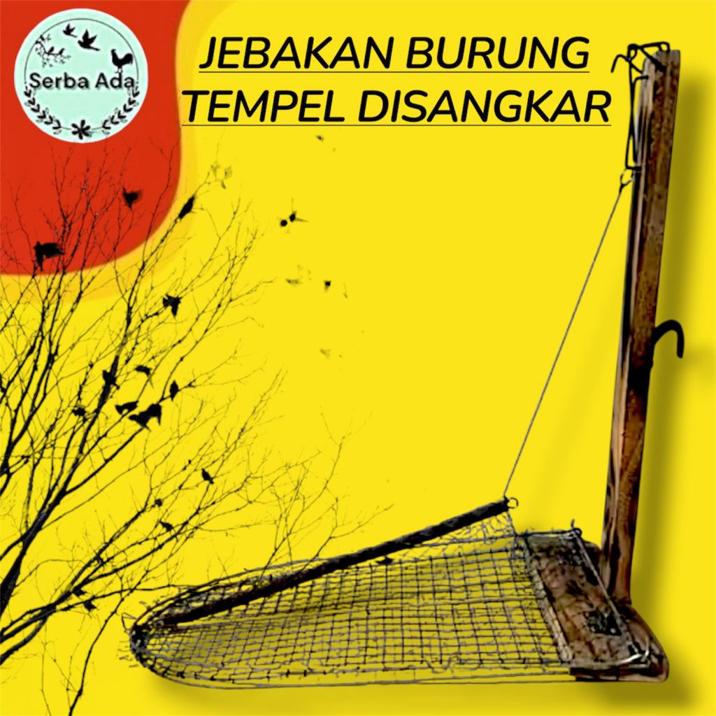 Jebakan burung tempel disangkar