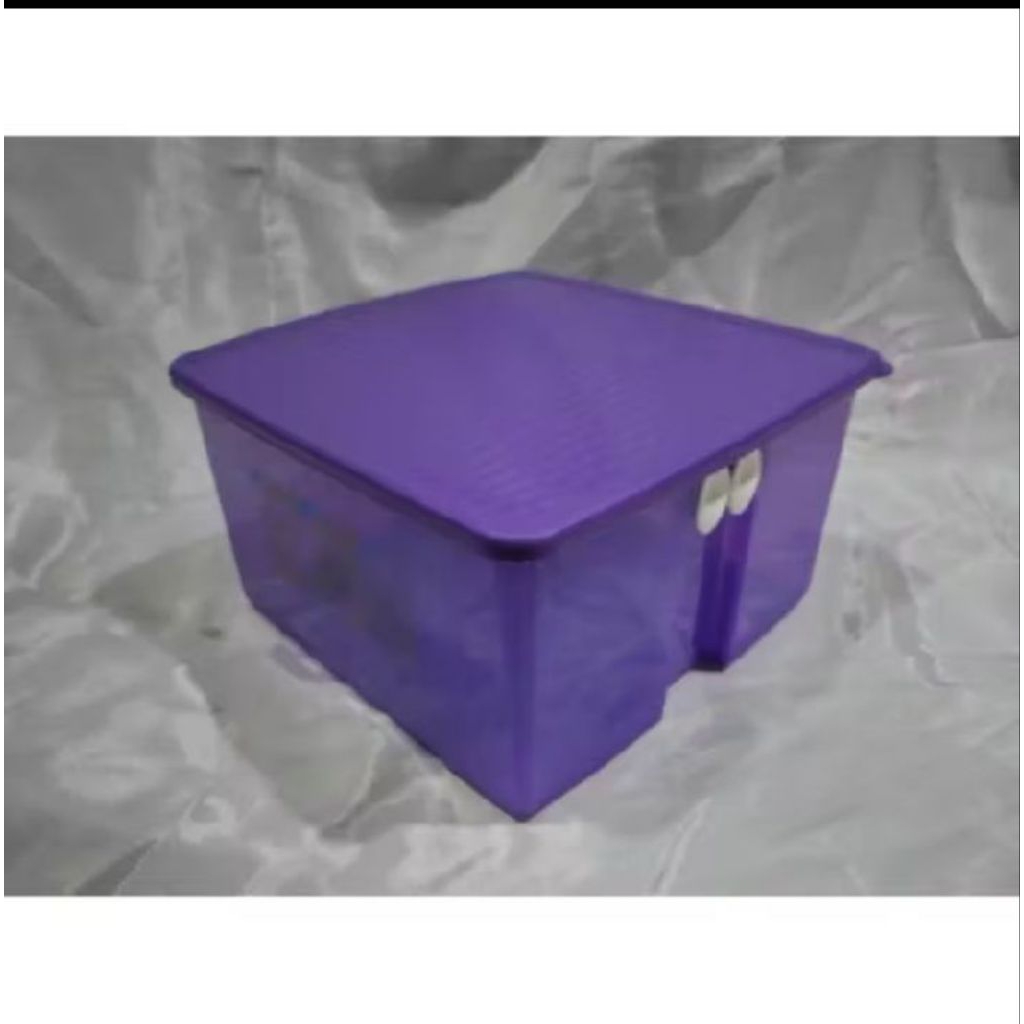 fridgesmart tupperware