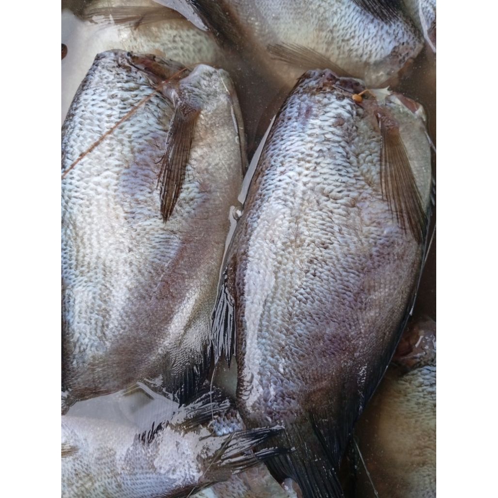 ikan kering sepat siam