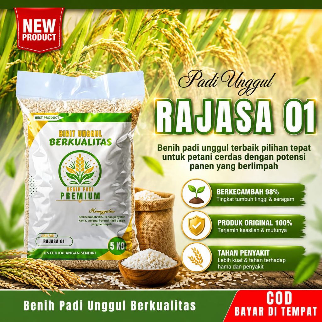 Benih padi unggul RAJASA 01 kemasan 5kg original