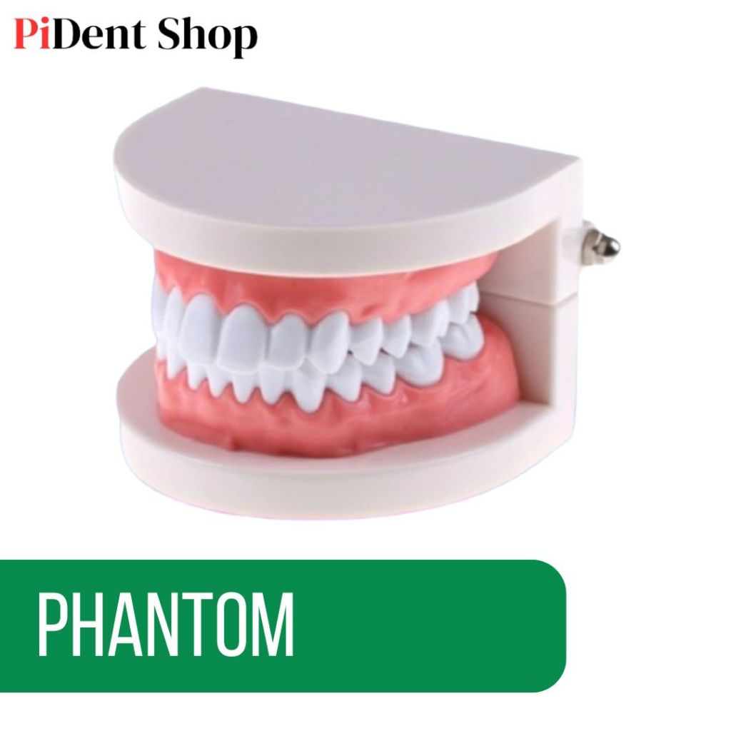 Phantom model gigi