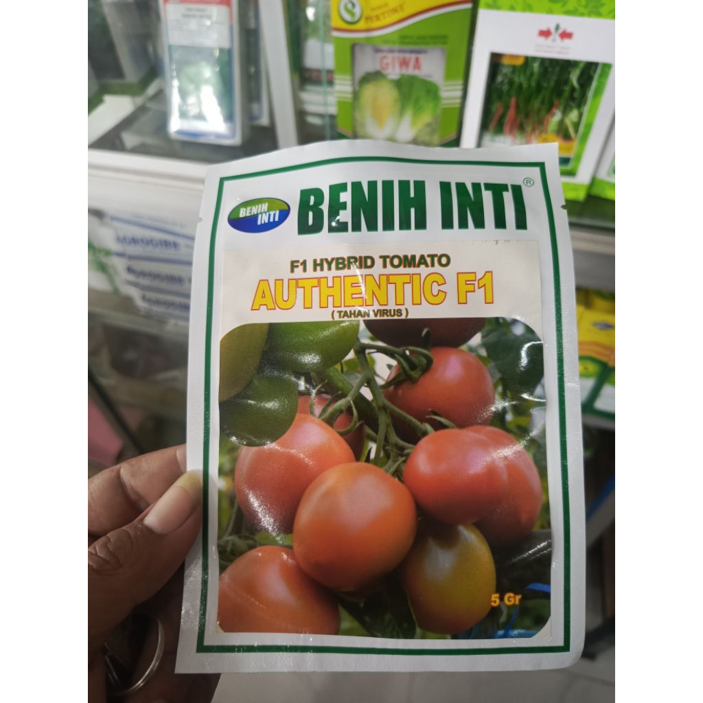 Benih Tomat AUTHENTIC F1 dari Benih Inti