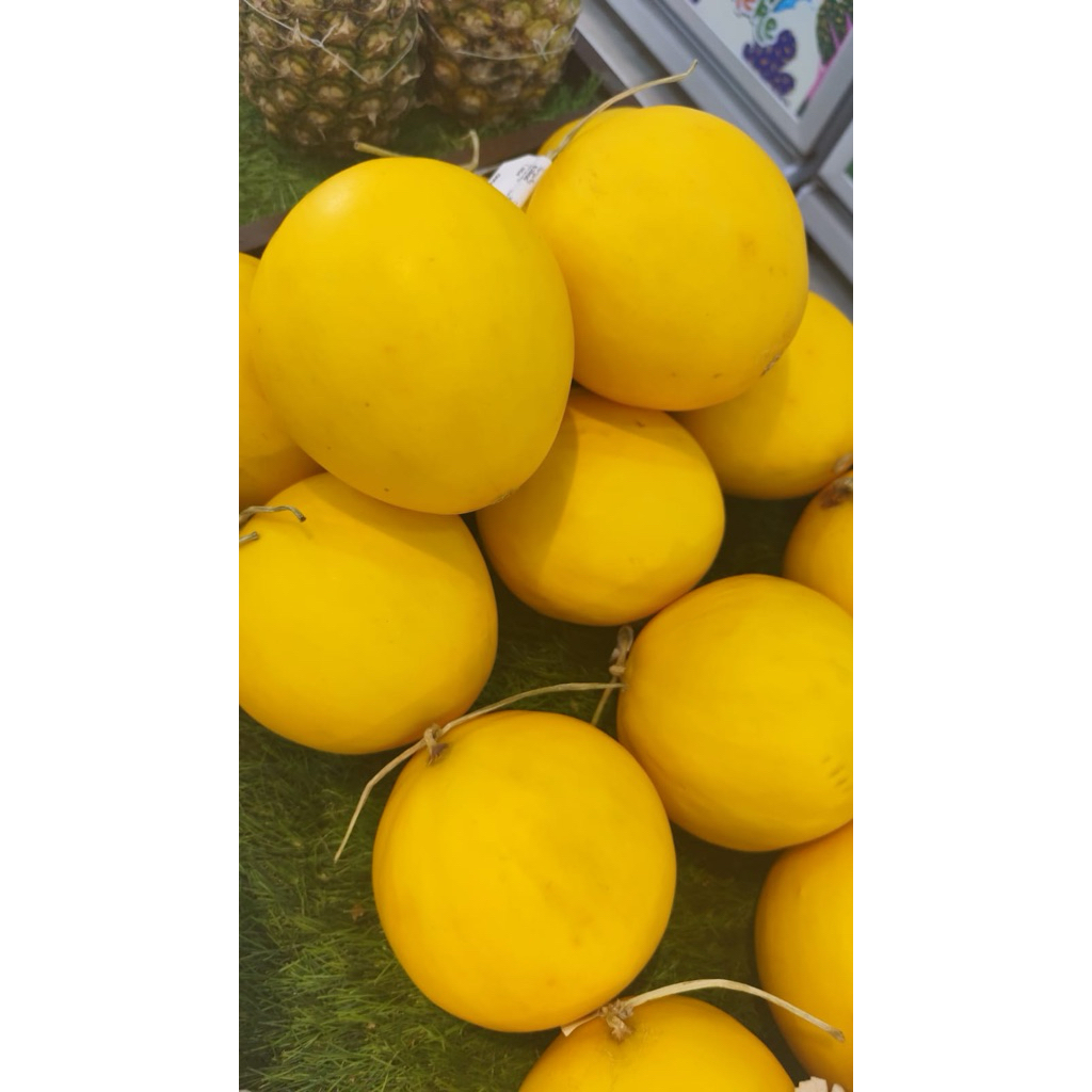 melon mini golden langkawi tekstur lembut