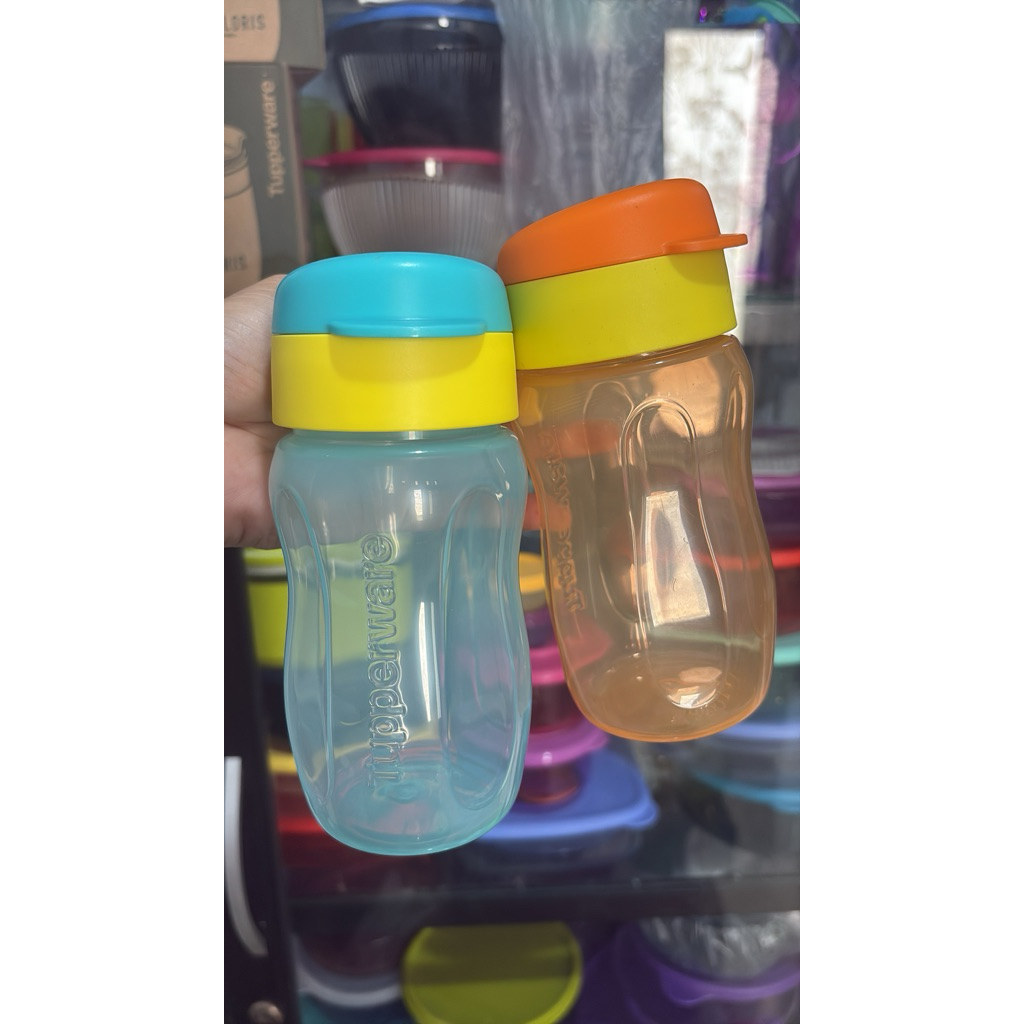 Eco Tupperware bogel harga satuan