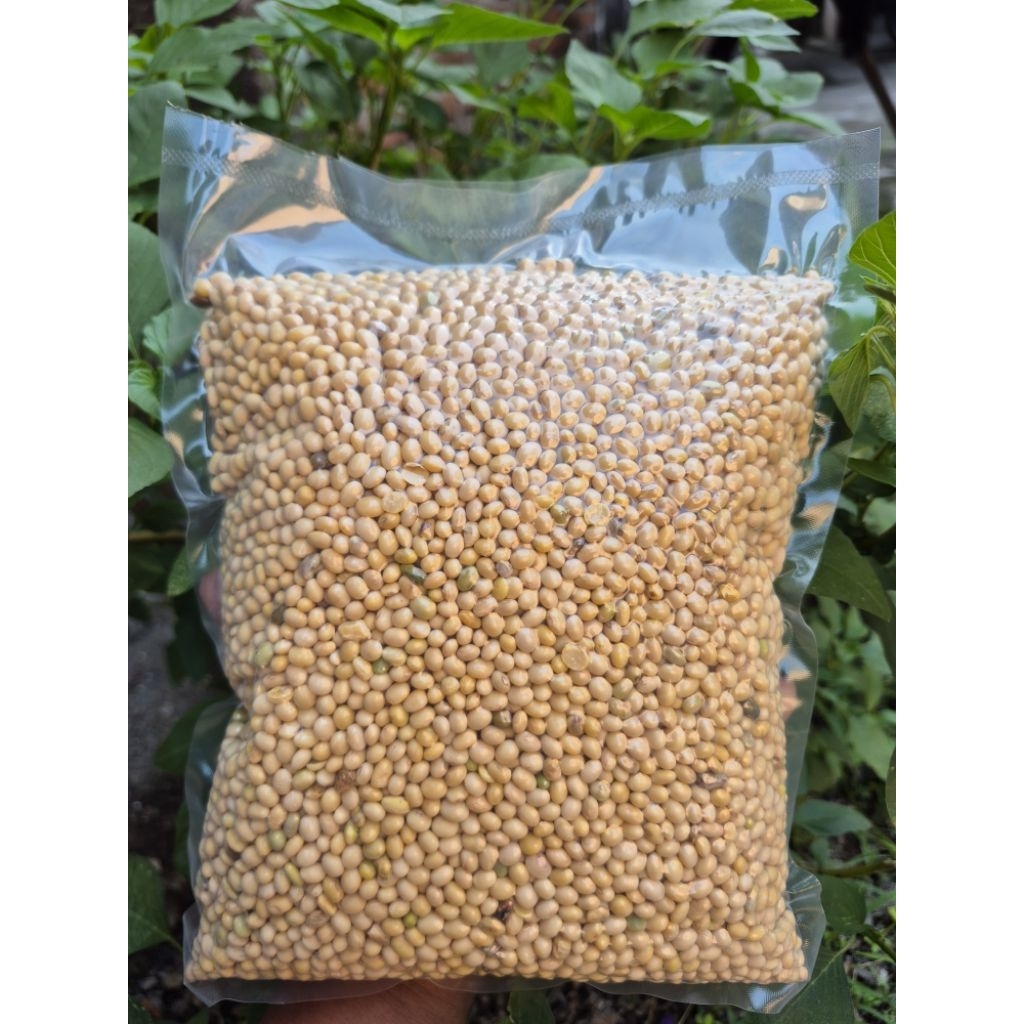KEDELAI LOKAL KAMPUNG ORIGINAL NON-GMO