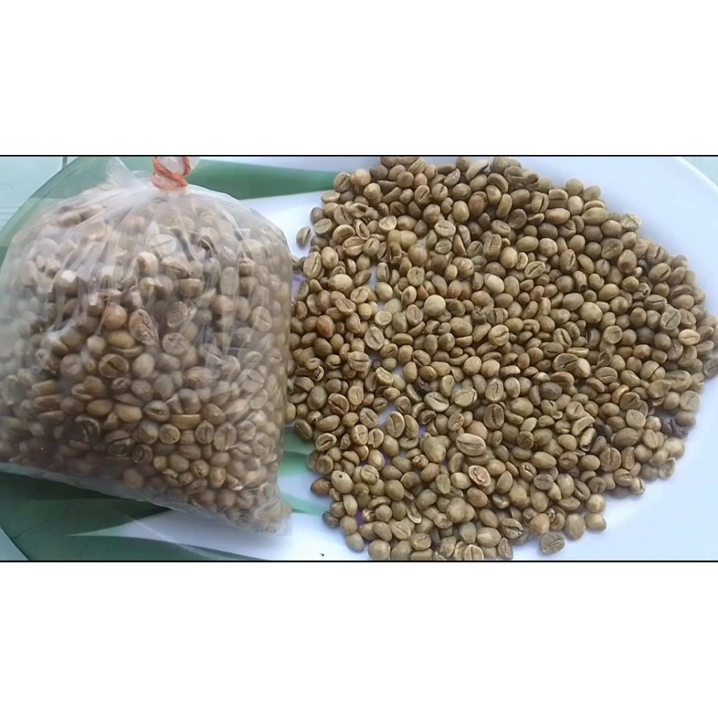 kopi robusta green bean