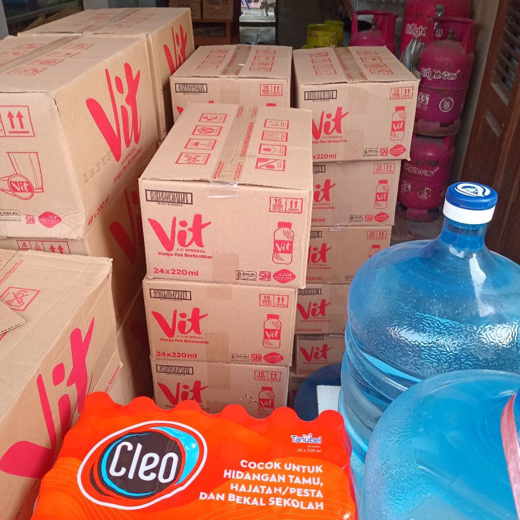 Vit Botol Kecil 220ml 1Dus