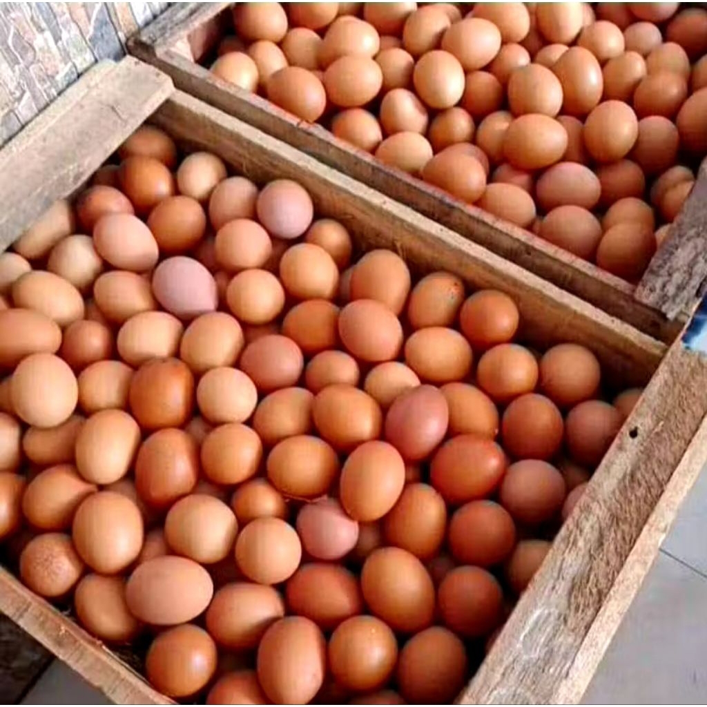 Telur Ayam Negeri 1kg - (Pengiriman Instan Bekasi)