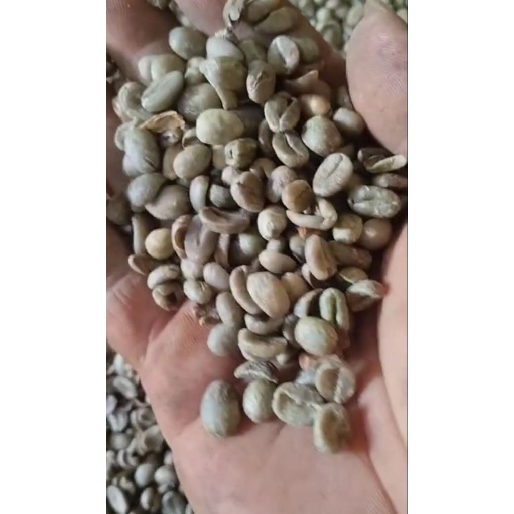 kopi arabica asalan
