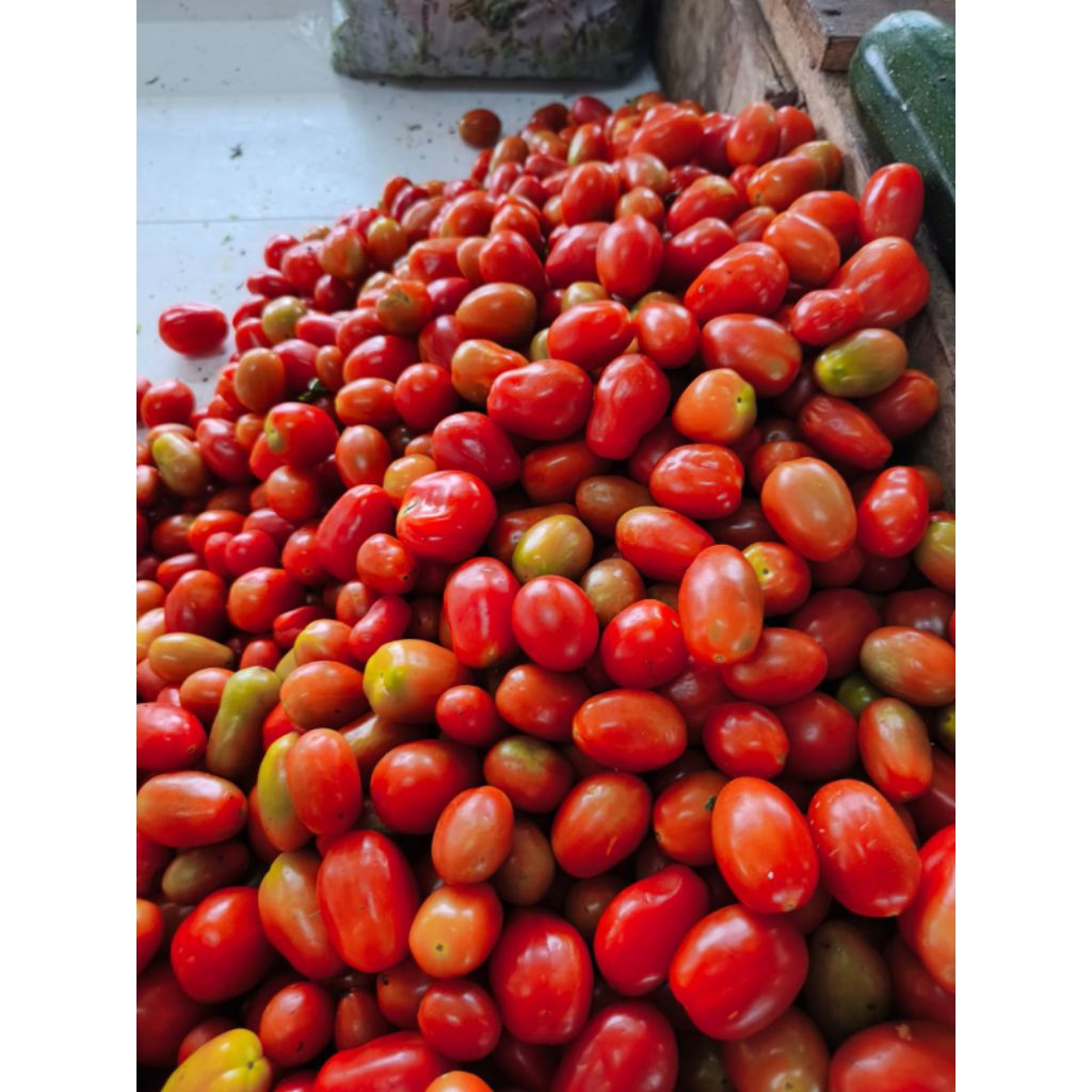 Tomat Ceri merah fresh sayuran Bandung