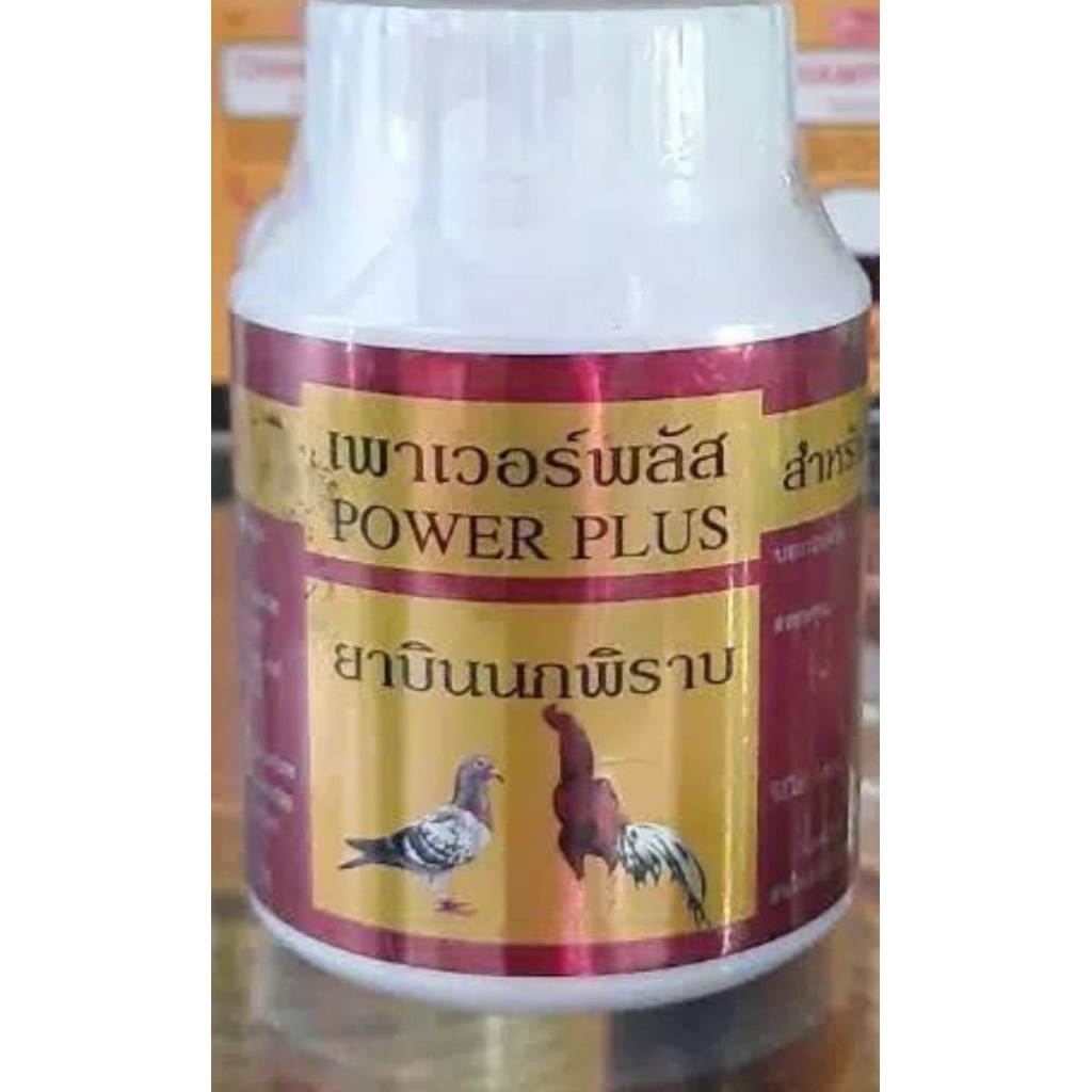 Power plus obat untuk agresif bertenaga merpati ayam