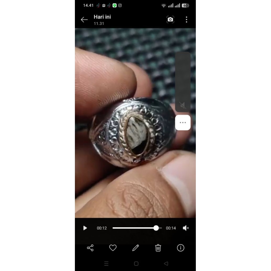 batu akik bulu macan/basaltic glass