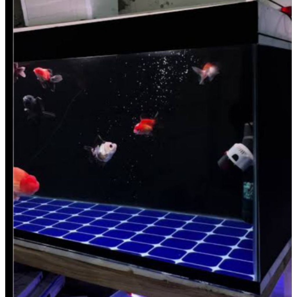 DEKORASI AQUARIUM STIKER BACKGROUND MOTIF KOTAK 5X5 CM PER 1 METER