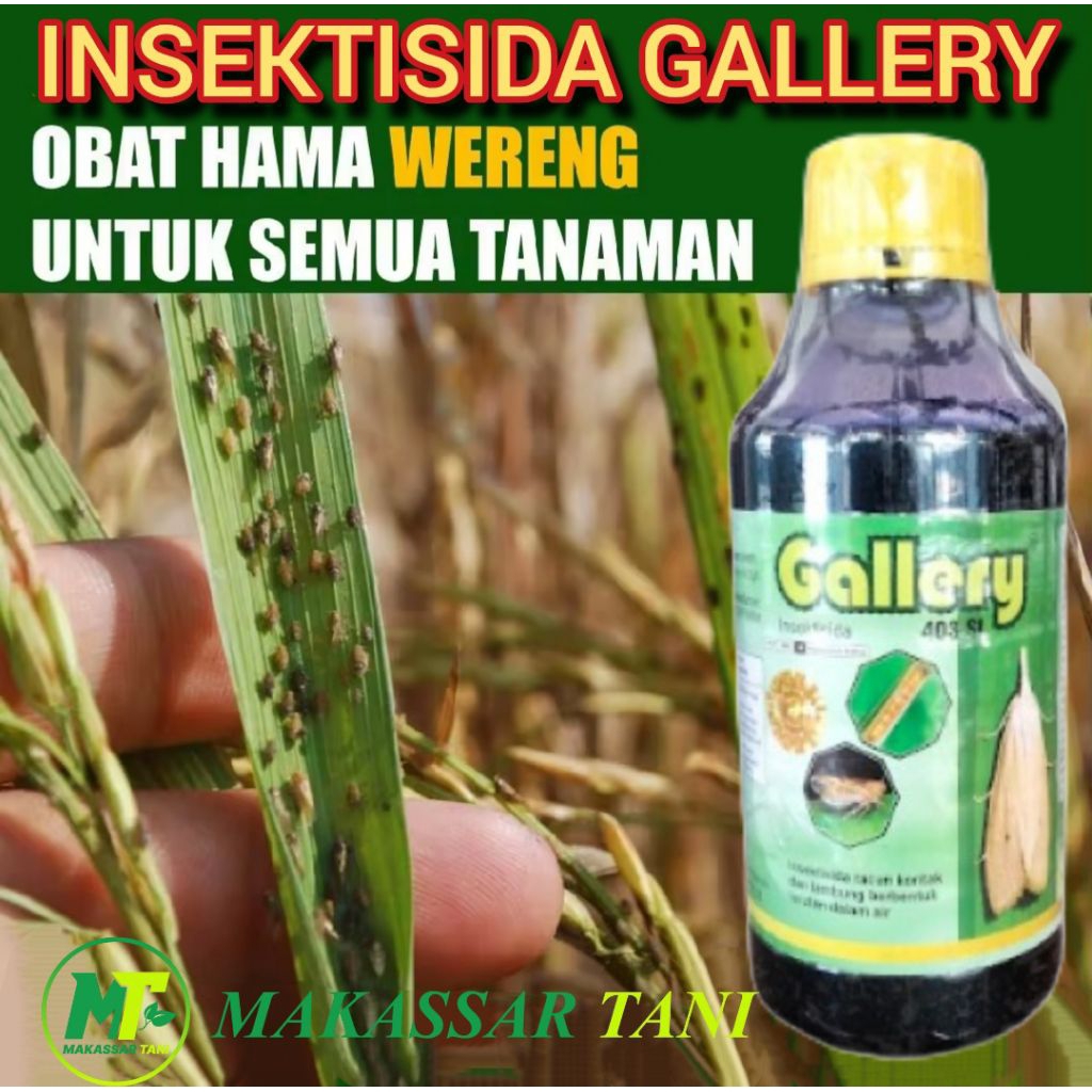 Insektisida Gallery 403 SL Obat Hama Wereng, ulat dan kutu Kutuan