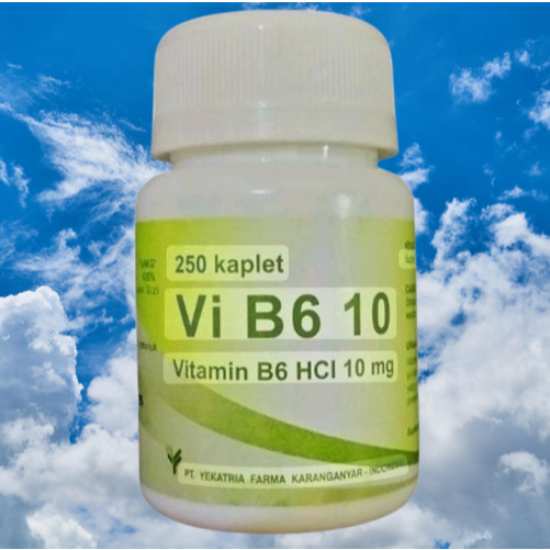 vitamin b6 yekatria 10 mg isi 1000