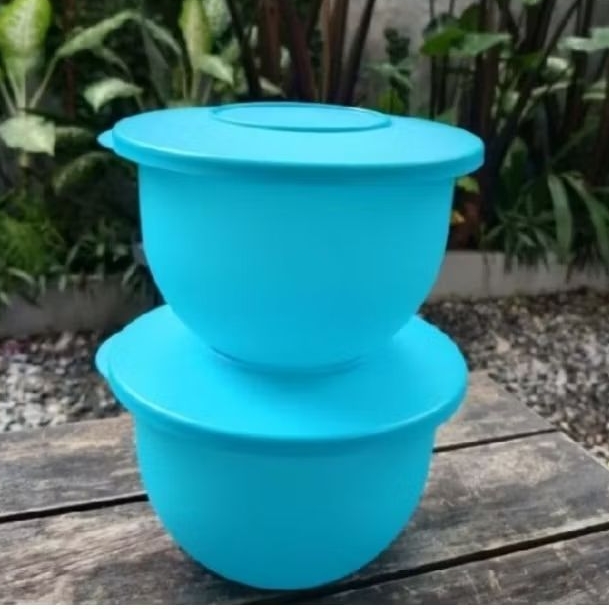 Tupperware Expression Bowl 1Pc 1.3L Ecer toples plastik wadah kuah kedap udara  tempat sayur buah ce