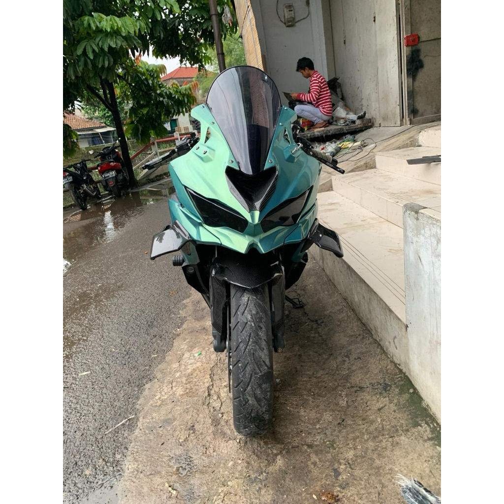 wingside winglet downforce zx25 zx4 carbon kevlar ala r1