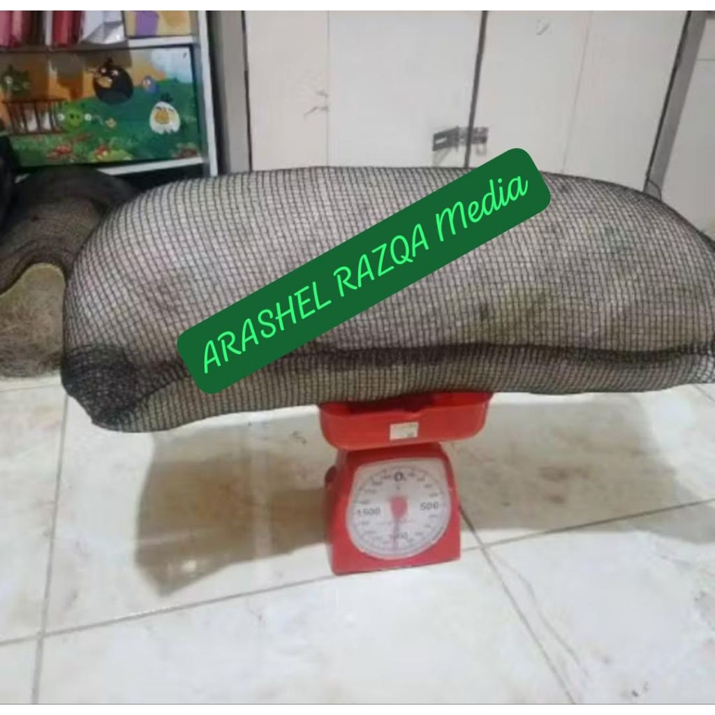 Jaring bekas nelayan