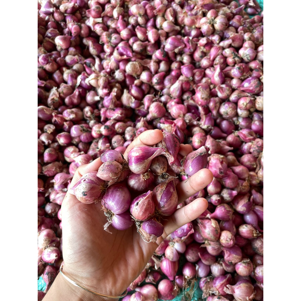 bawang merah nganjuk 1kg