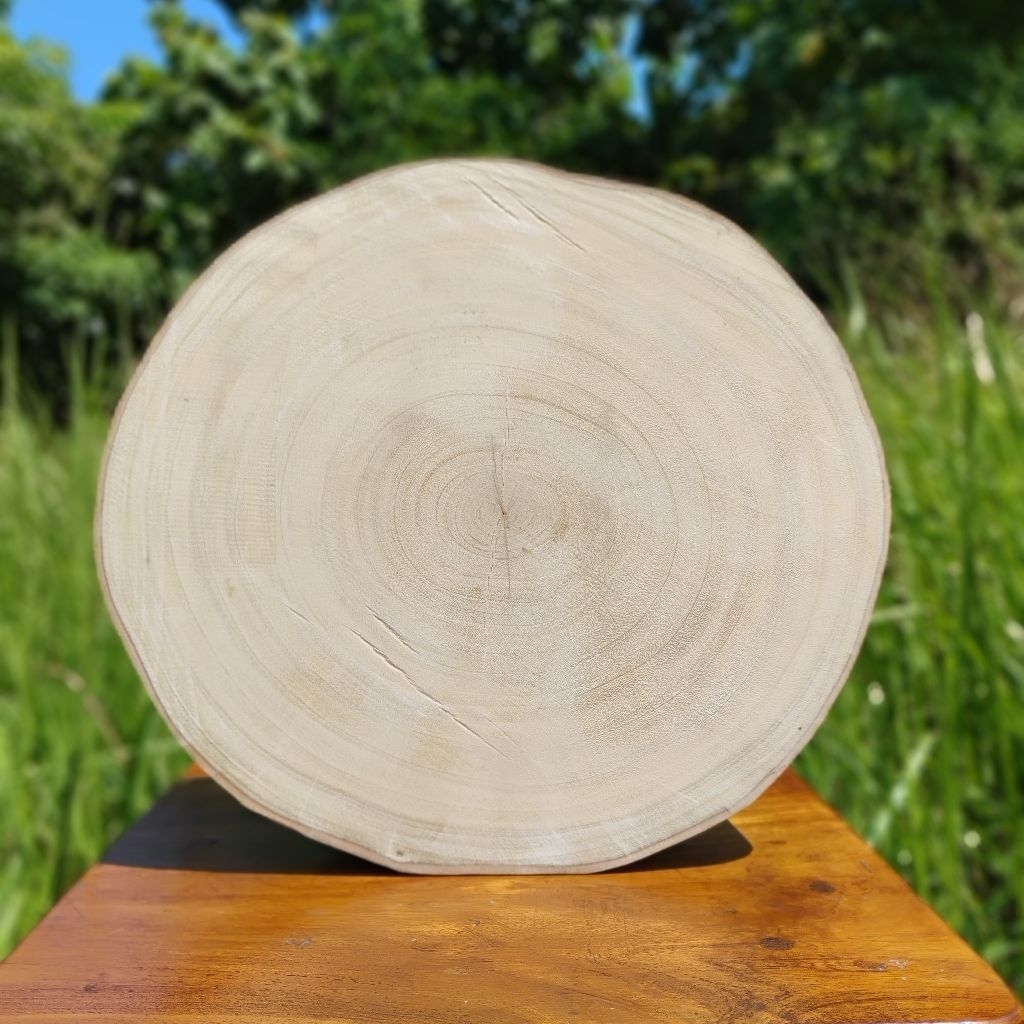Talenan Kayu Asem Jawa