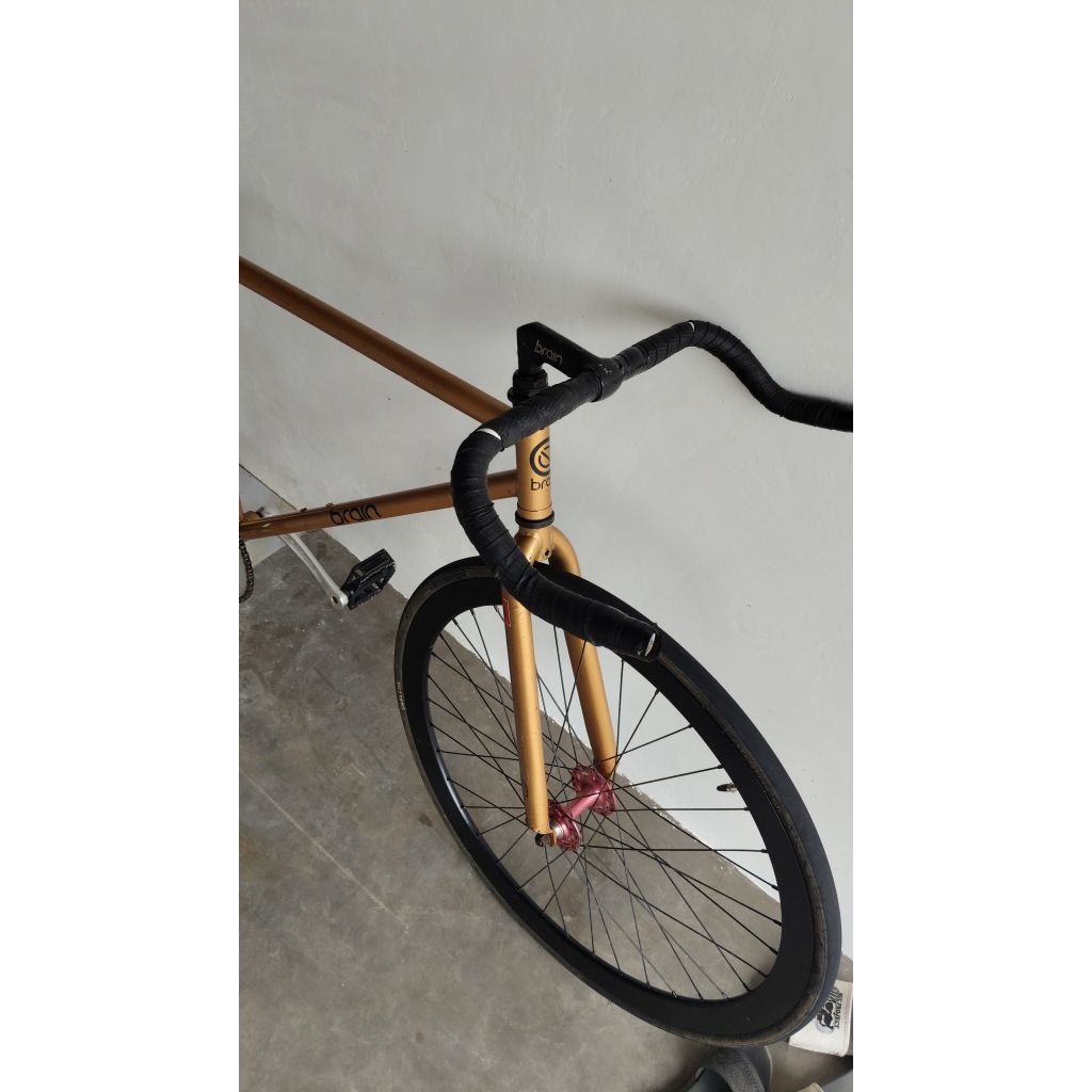 fixie brain atales