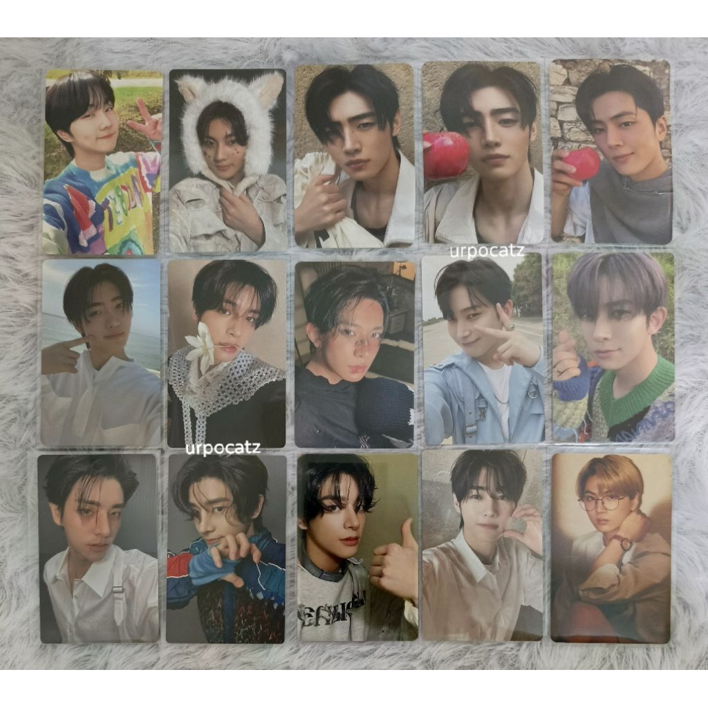Enhypen - Heeseung Sunghoon Jungwon Jay Sunoo Photocard Official Ready Stock Dicon Romance Untold Se