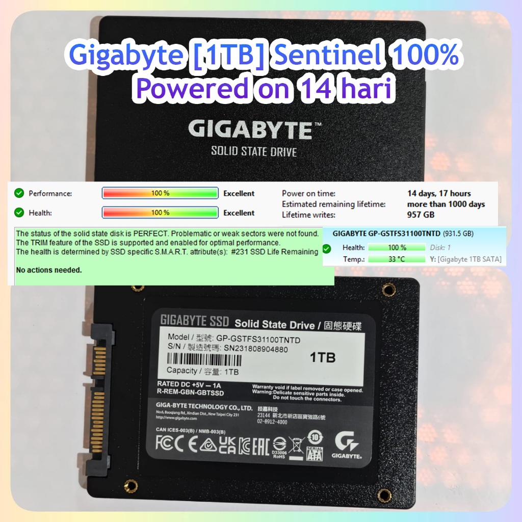 SSD Gigabyte 1TB Sentinel 100% 1 TB Second Bekas SATA Taiwan Murah 1000 SSD Bekas Second Seken Copot