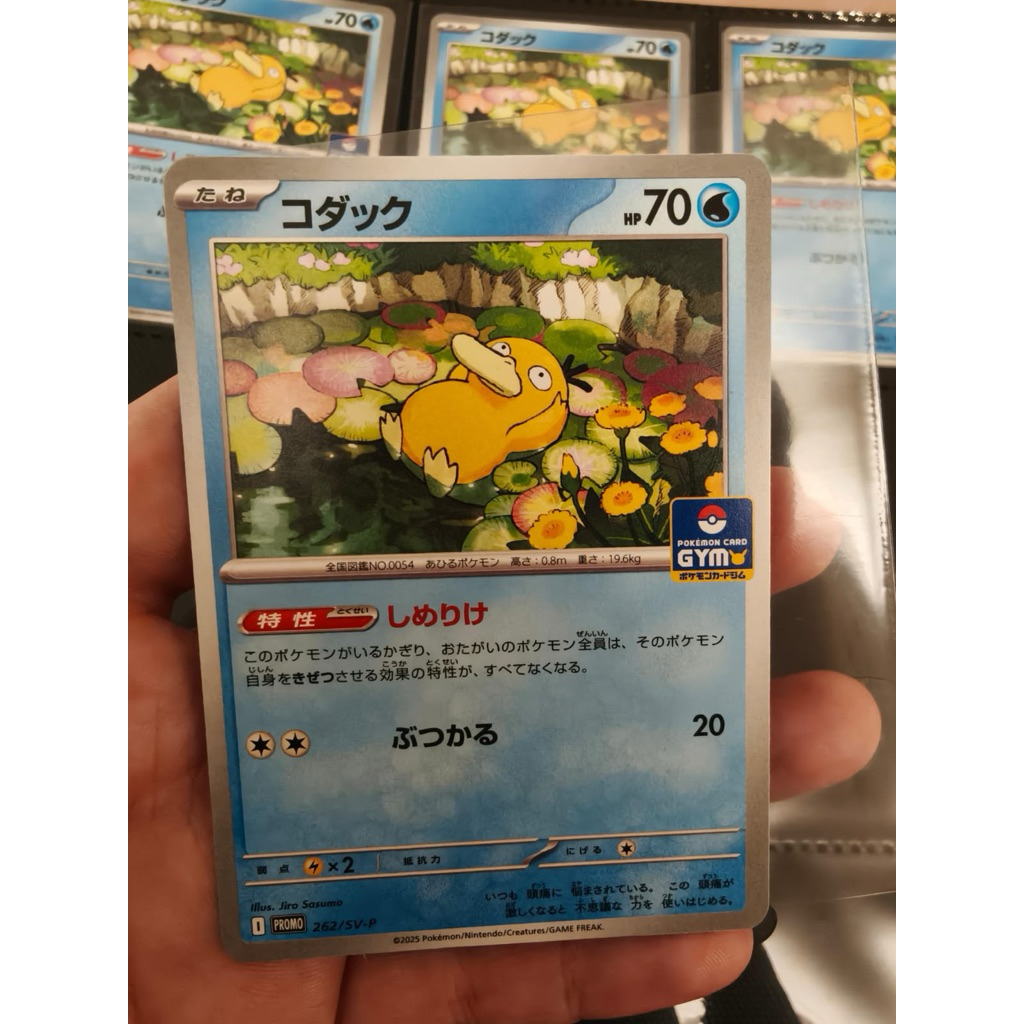 Psyduck Promo Gym Jp pokemon tcg