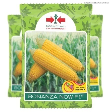 ORIGINAL >> Benih Jagung Manis BONANZA F1 1800 Biji exp 2027
