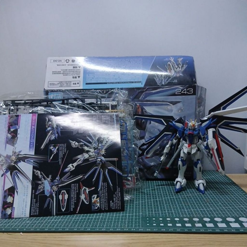 gundam hg rising freedom bootleg second