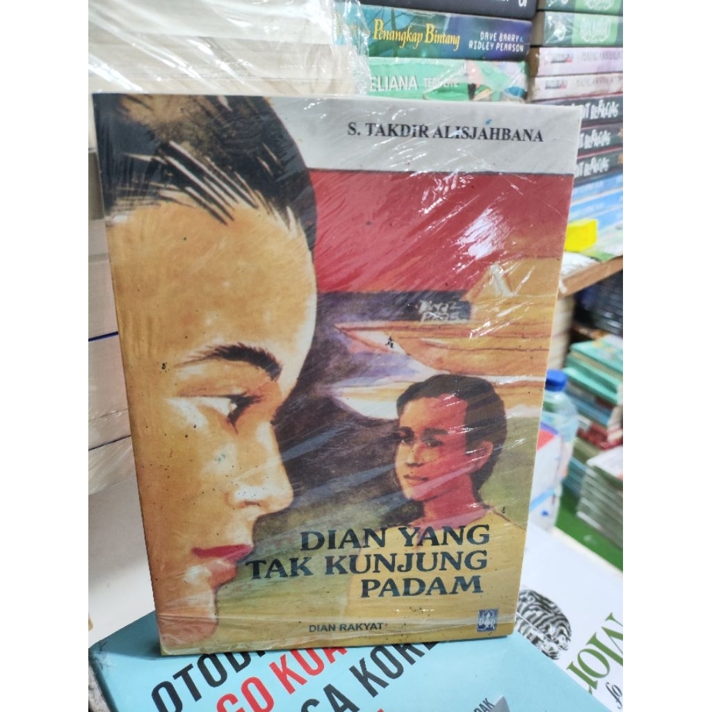 NOVEL DIAN YANG TAK KUNJUNG PADAM