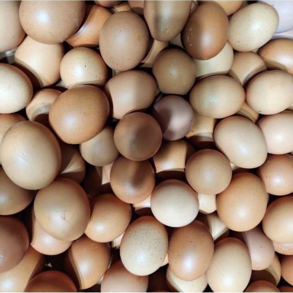telur ayam 1kg