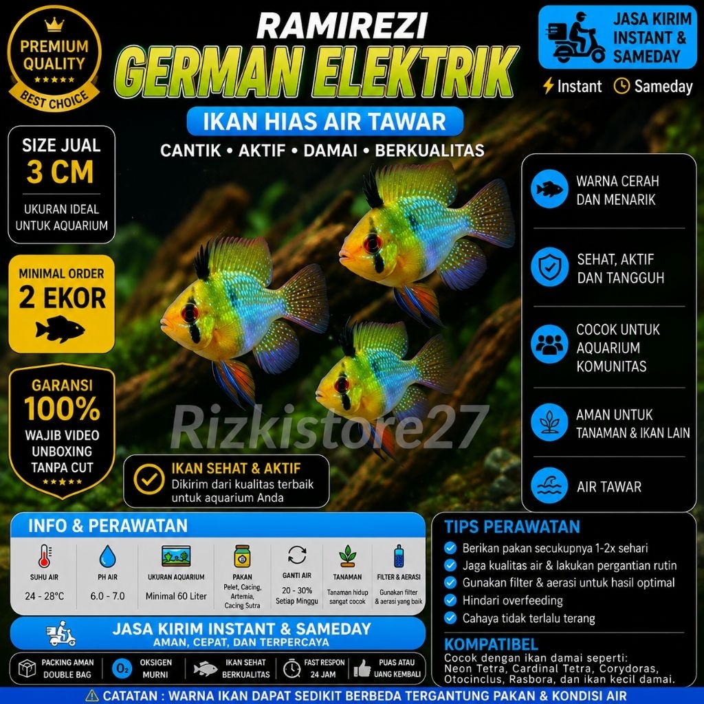 Ramirezi German Elektrik Size 3 Cm Ikan Hias Aquarium Aquascape Electric Ramirezi